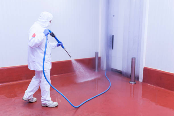 Best Solar Panel Cleaning  in Elko New Market, MN